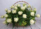 Duży kosz kwiatowy z białych róż z przykładową kartką kondolencyjną (1)